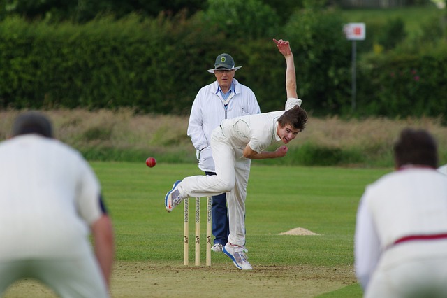 cricket-724618_640